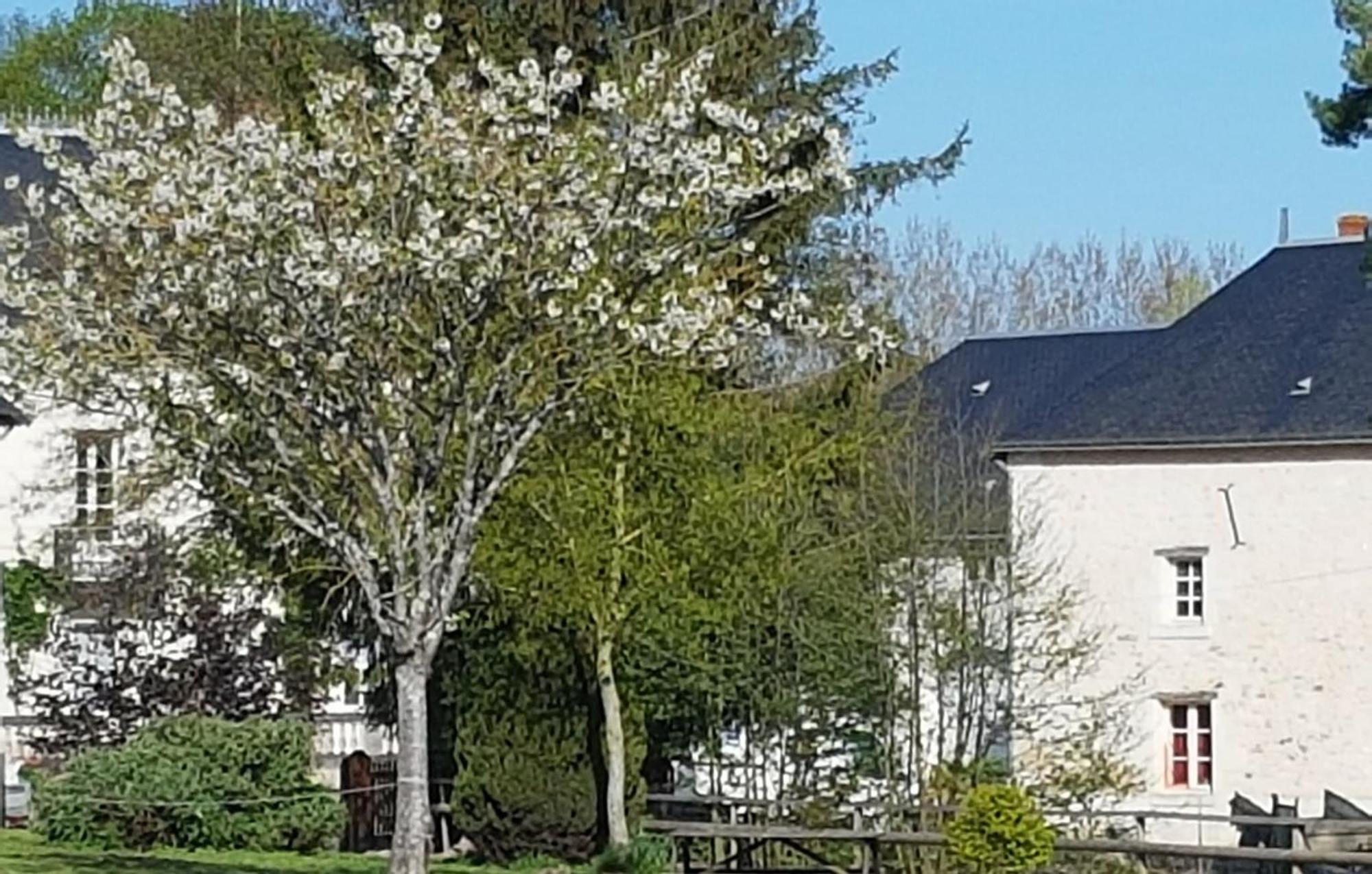 Domaine Du Moulin Neuf Aux Portes De Beauval Nouans-les-Fontaines ภายนอก รูปภาพ