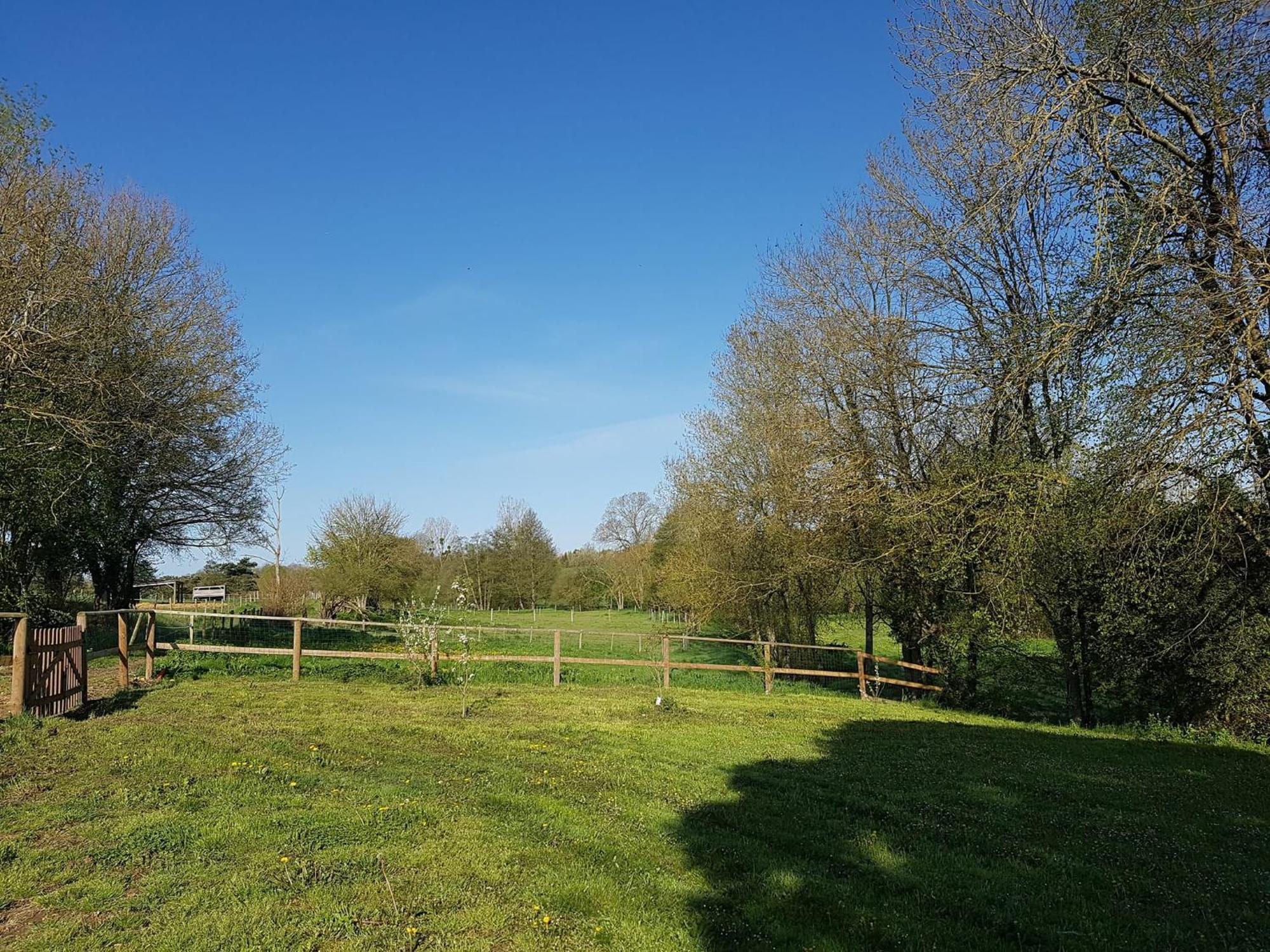 Domaine Du Moulin Neuf Aux Portes De Beauval Nouans-les-Fontaines ภายนอก รูปภาพ