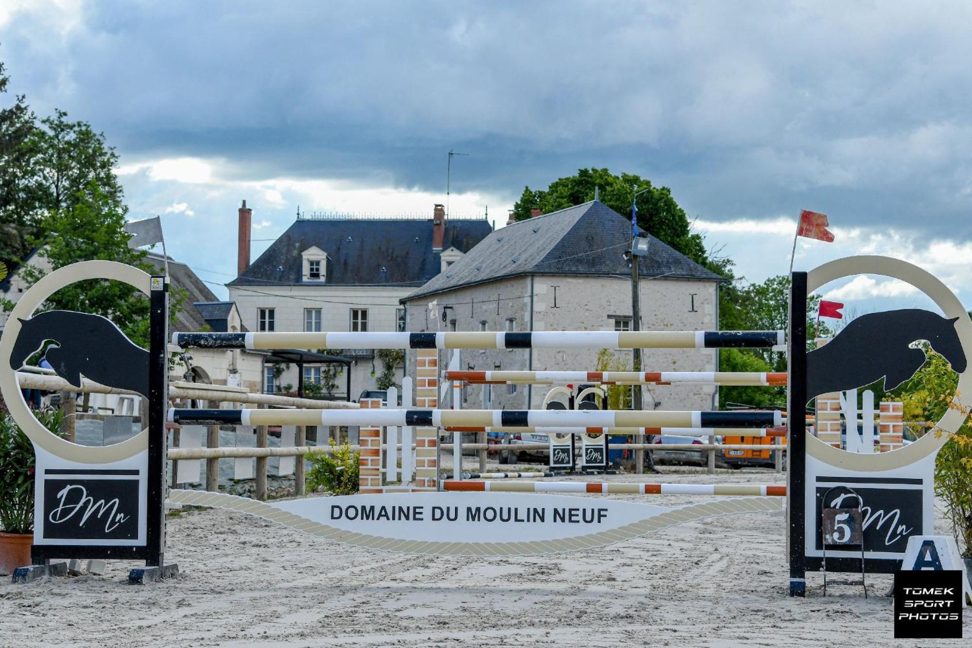 Domaine Du Moulin Neuf Aux Portes De Beauval Nouans-les-Fontaines ภายนอก รูปภาพ